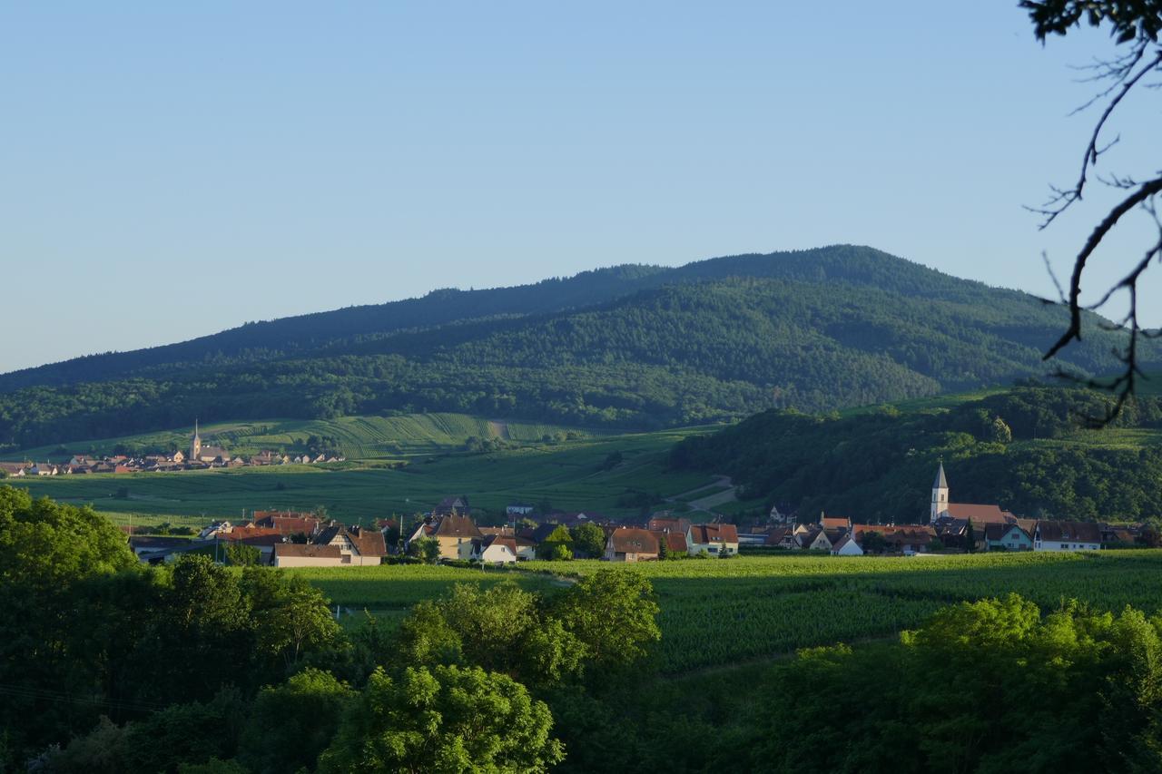 Gite Fleur De Vignes Итевиллер Экстерьер фото